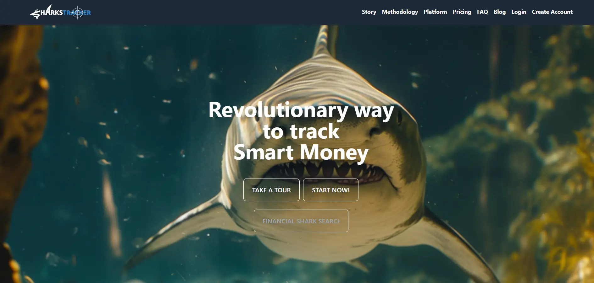 Photo representing project: SharksTracker